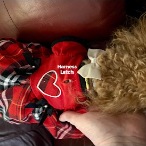 NWOT: Adorable dress for a play dog or real dog that is no more than 2-8 lbs. - Picture 2 of 9